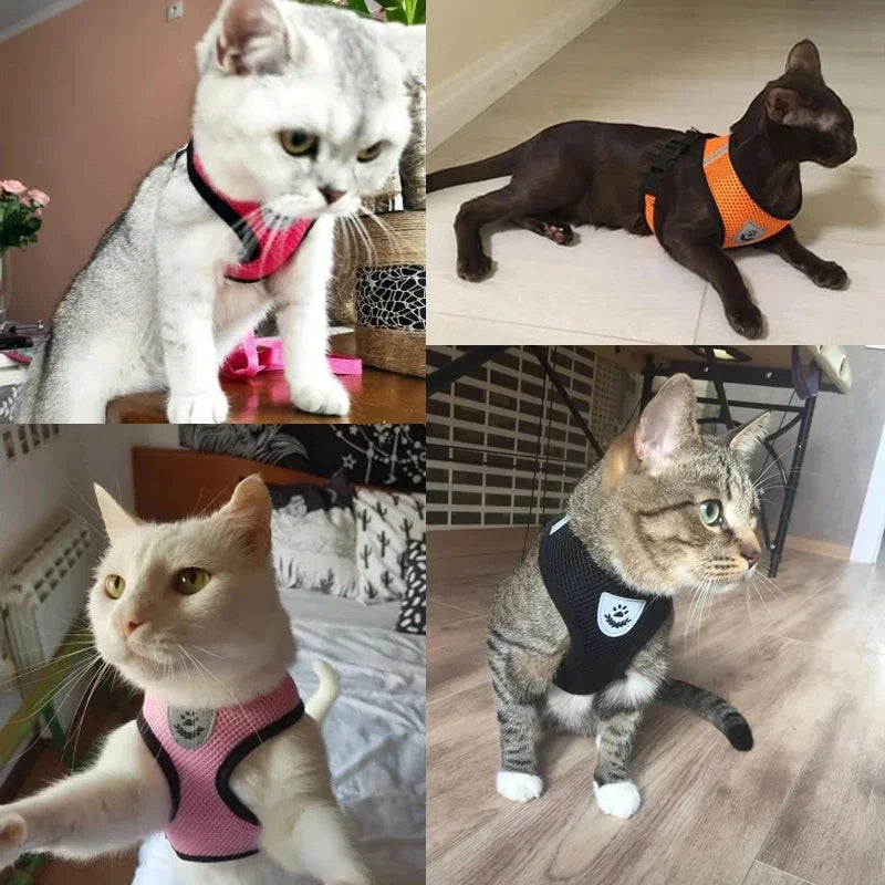 Pet Harness Vest