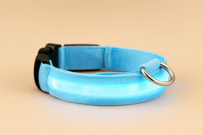 LED Glow Collar