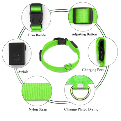 LED Glow Collar