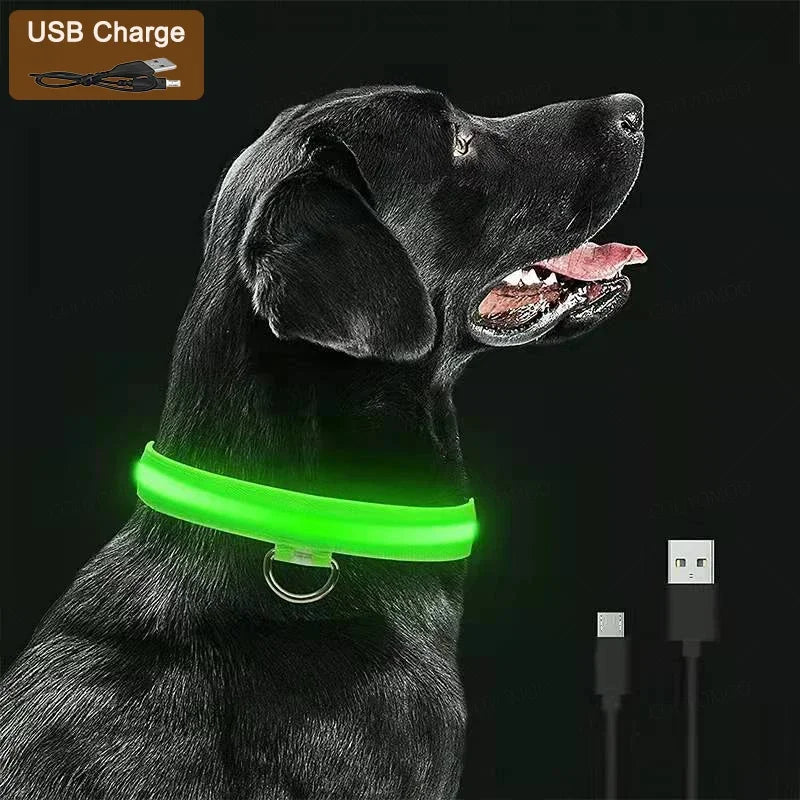 LED Glow Collar