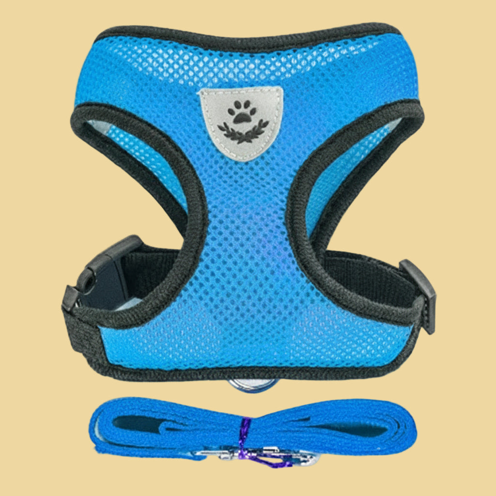 Pet Harness Vest