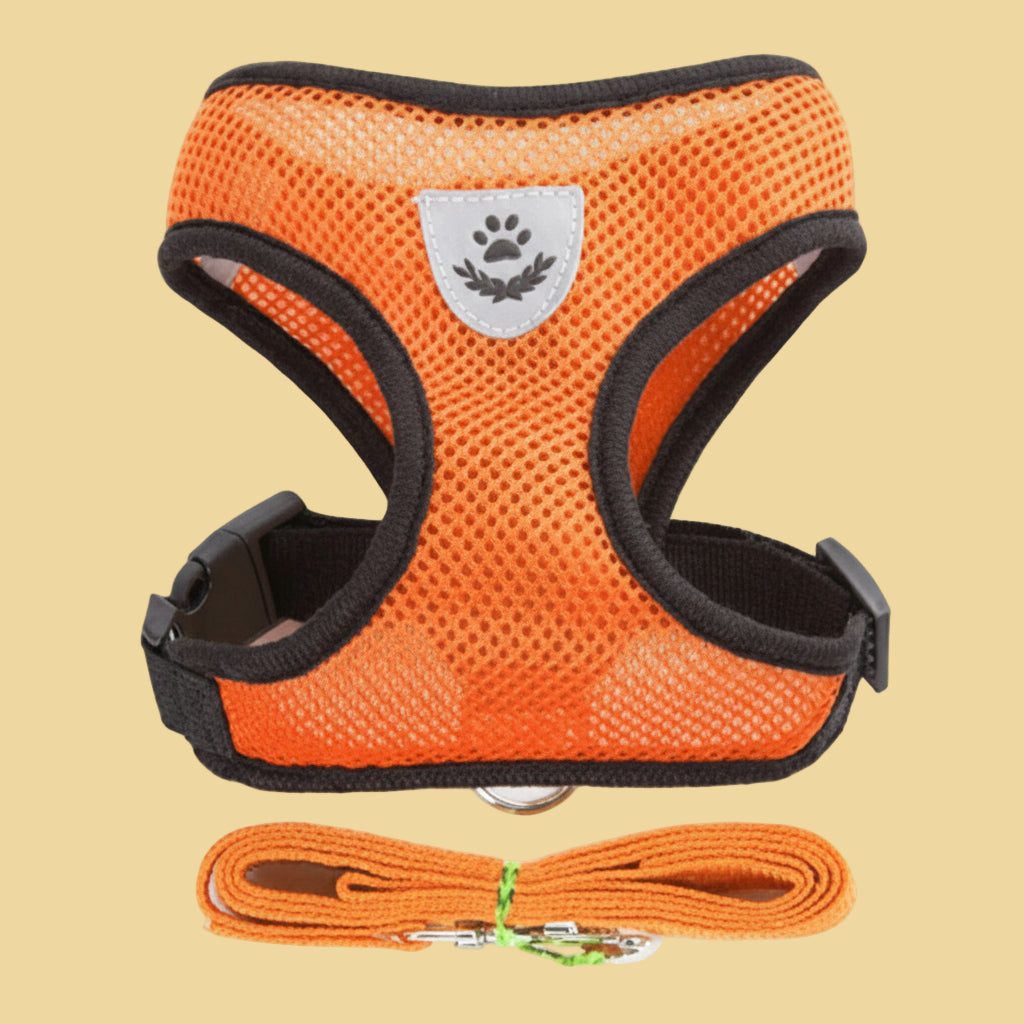 Pet Harness Vest