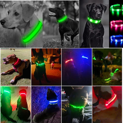 LED Glow Collar