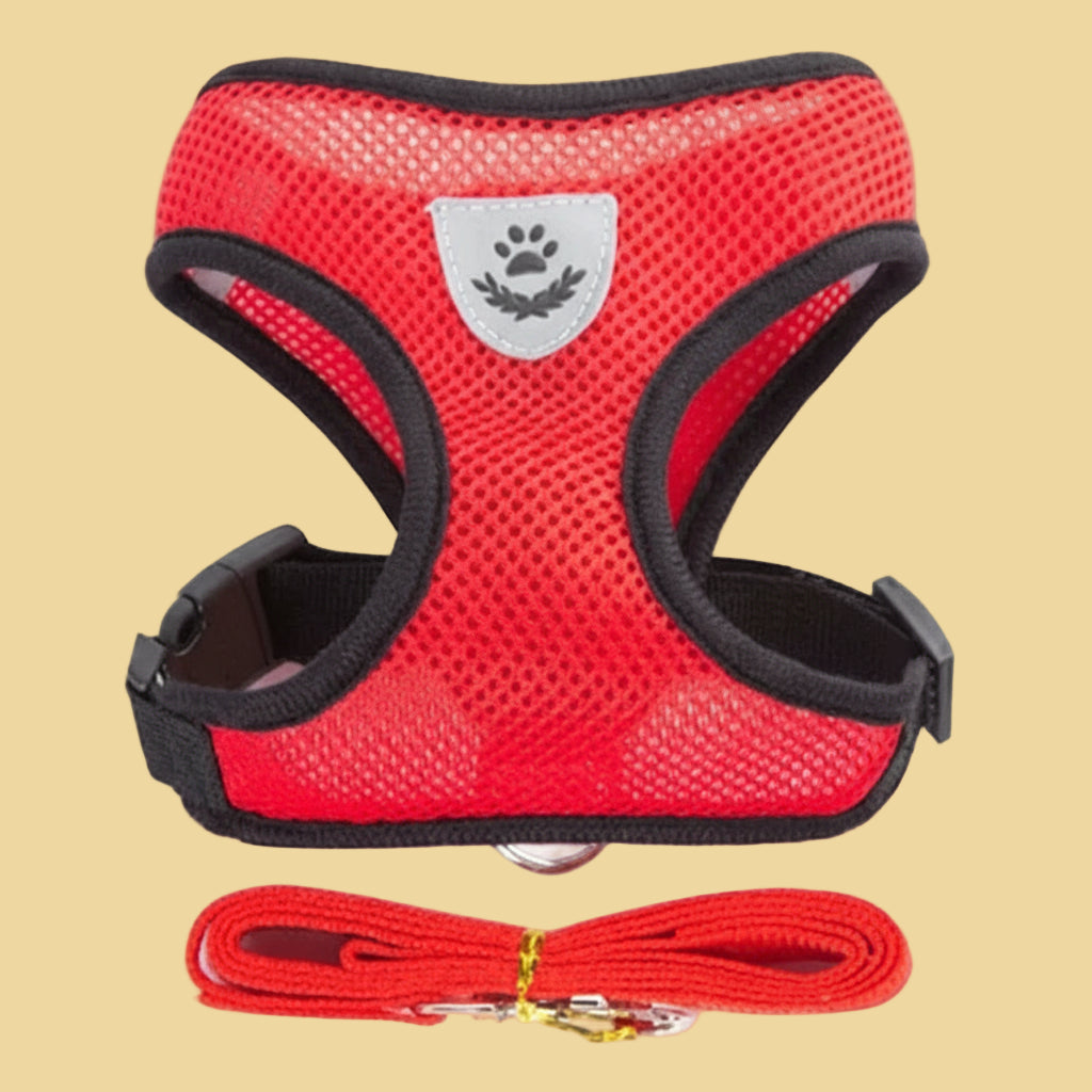 Pet Harness Vest