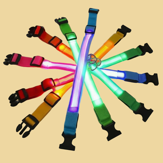 LED Glow Collar
