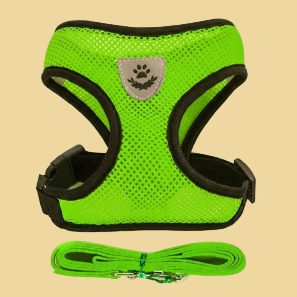 Pet Harness Vest