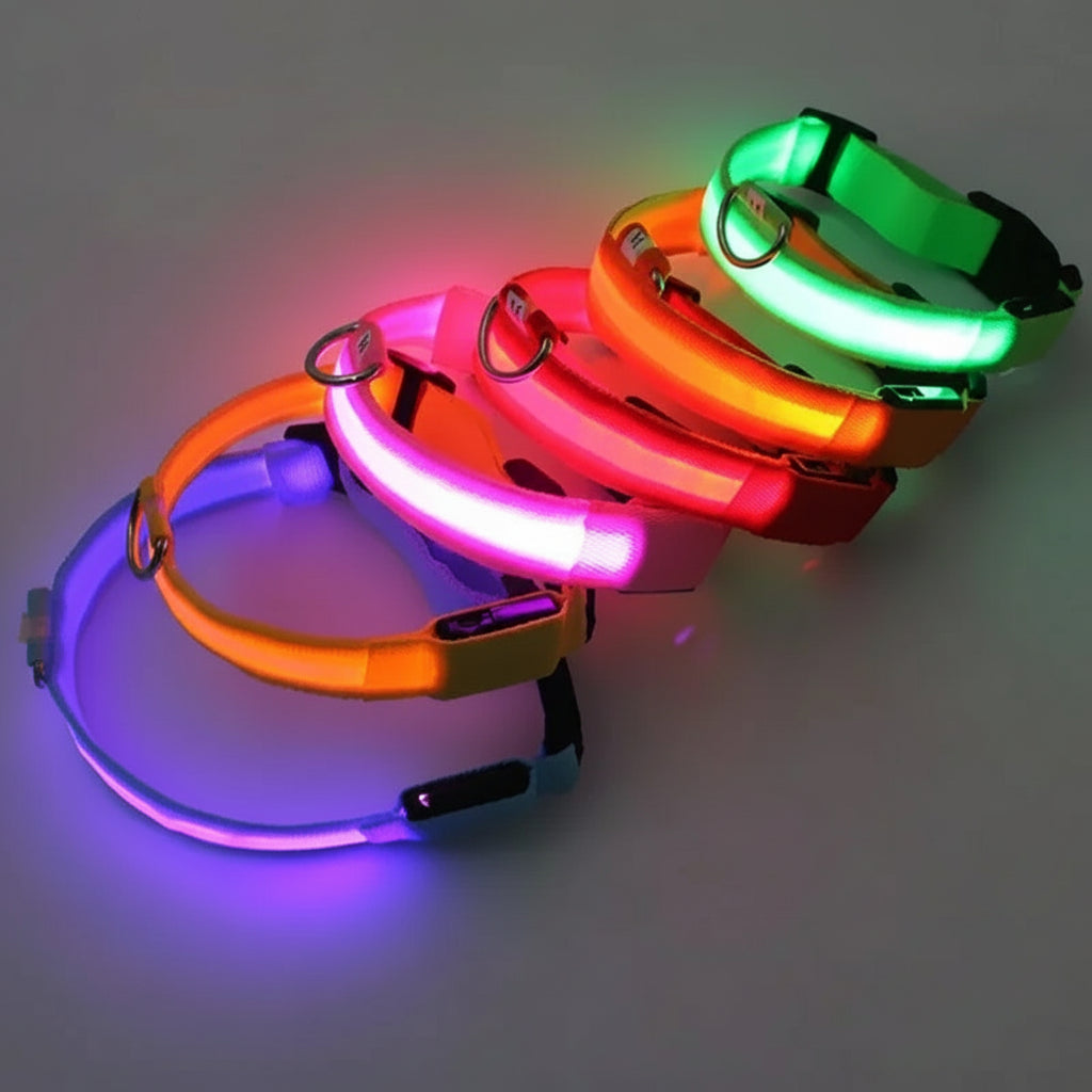 LED Glow Collar