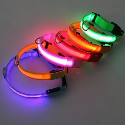 LED Glow Collar