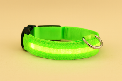 LED Glow Collar